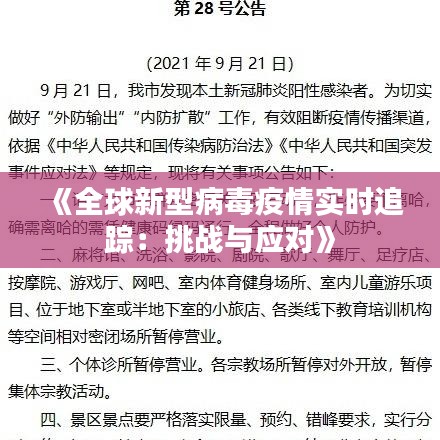 《全球新型病毒疫情实时追踪：挑战与应对》