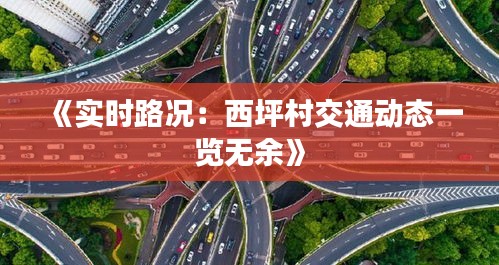 《实时路况：西坪村交通动态一览无余》