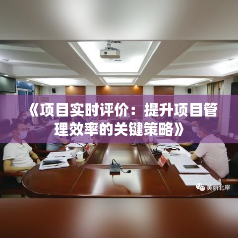 《项目实时评价：提升项目管理效率的关键策略》