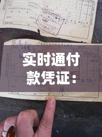 实时通付款凭证：支票的数字化替代品？