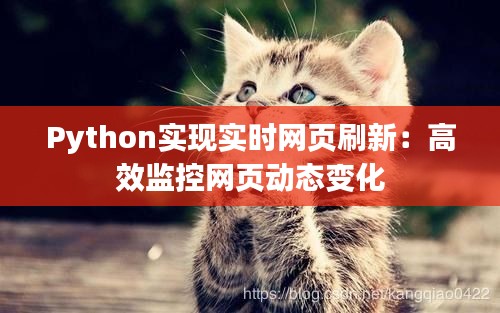 Python实现实时网页刷新：高效监控网页动态变化