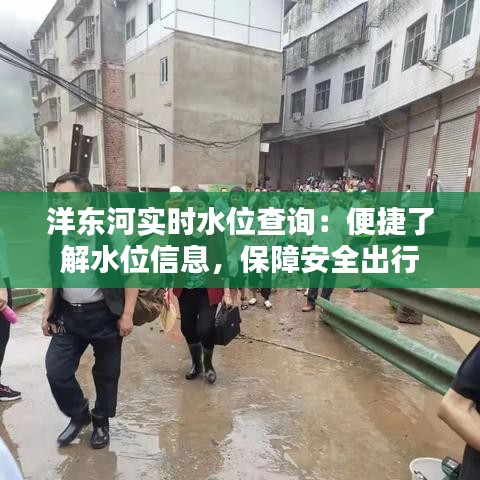 洋东河实时水位查询：便捷了解水位信息，保障安全出行