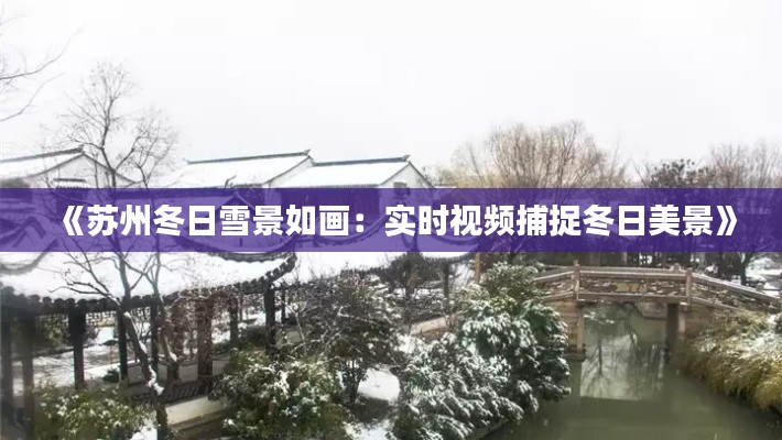 《苏州冬日雪景如画：实时视频捕捉冬日美景》