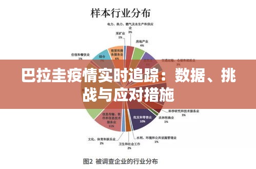 巴拉圭疫情实时追踪：数据、挑战与应对措施