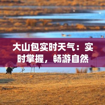 大山包实时天气：实时掌握，畅游自然之美