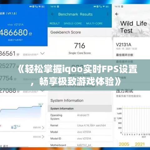 《轻松掌握iqoo实时FPS设置，畅享极致游戏体验》