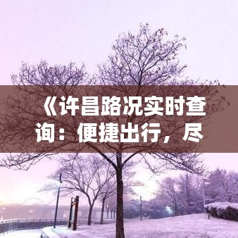 《许昌路况实时查询：便捷出行，尽在掌握》