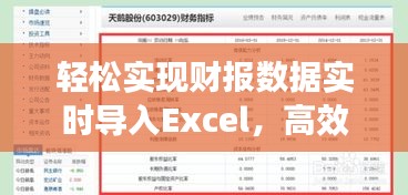 轻松实现财报数据实时导入Excel，高效办公新选择