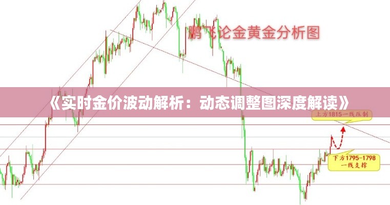 《实时金价波动解析：动态调整图深度解读》