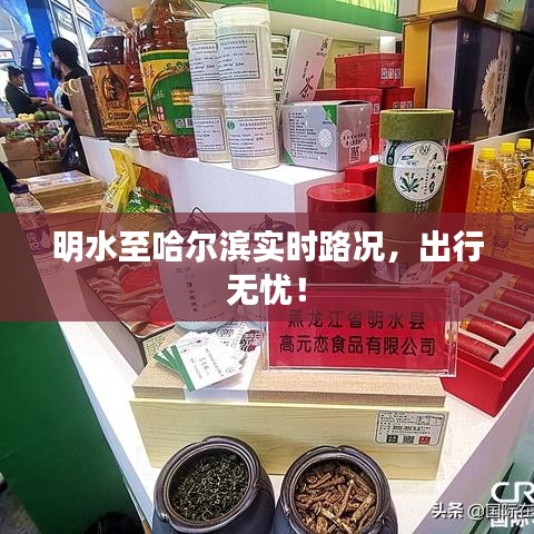 纲挈目张