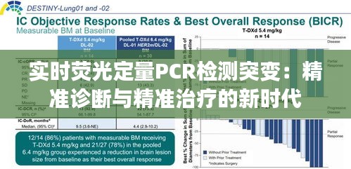 实时荧光定量PCR检测突变：精准诊断与精准治疗的新时代