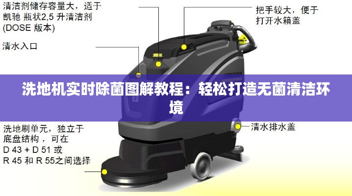 熊经鸟申