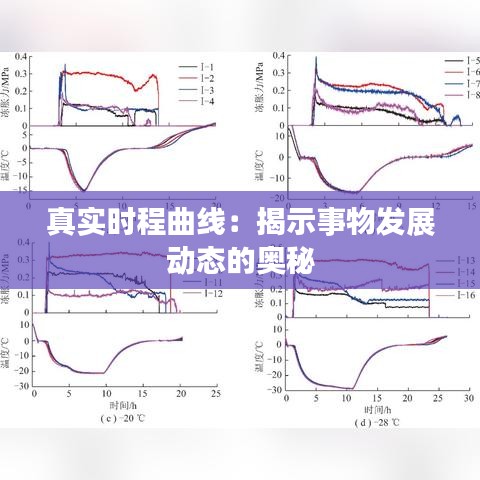 真实时程曲线：揭示事物发展动态的奥秘