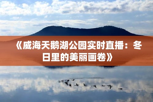 《威海天鹅湖公园实时直播：冬日里的美丽画卷》