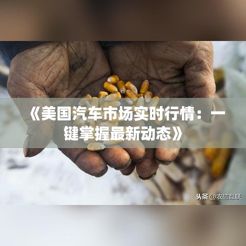 《美国汽车市场实时行情：一键掌握最新动态》