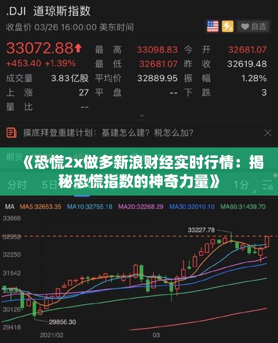 《恐慌2x做多新浪财经实时行情：揭秘恐慌指数的神奇力量》