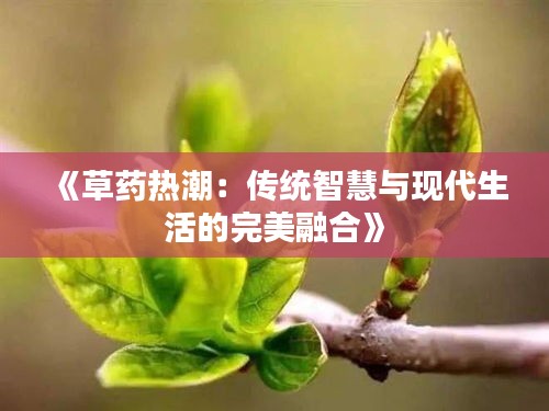 《草药热潮：传统智慧与现代生活的完美融合》