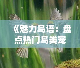 《魅力鸟语：盘点热门鸟类宠物及养护技巧》