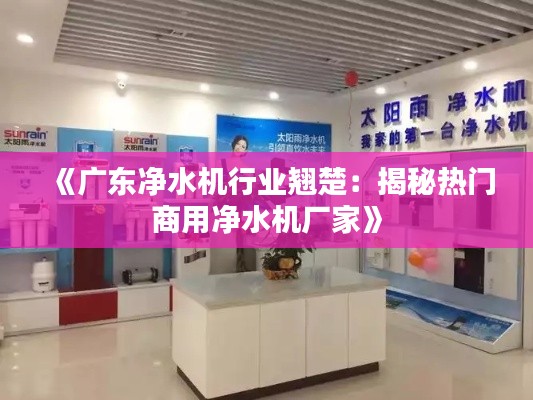 《广东净水机行业翘楚：揭秘热门商用净水机厂家》