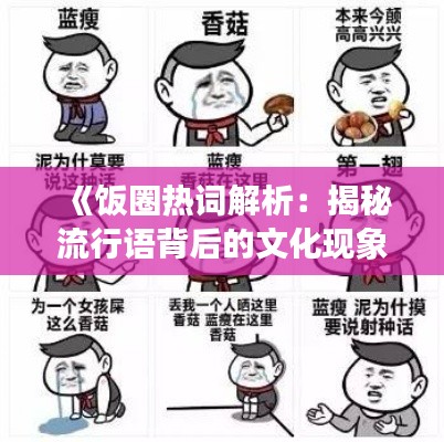 《饭圈热词解析：揭秘流行语背后的文化现象》