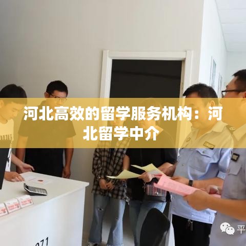 河北高效的留学服务机构：河北留学中介 