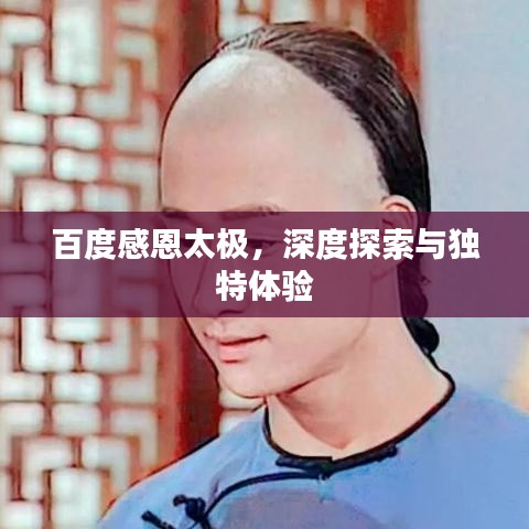 百度感恩太极，深度探索与独特体验