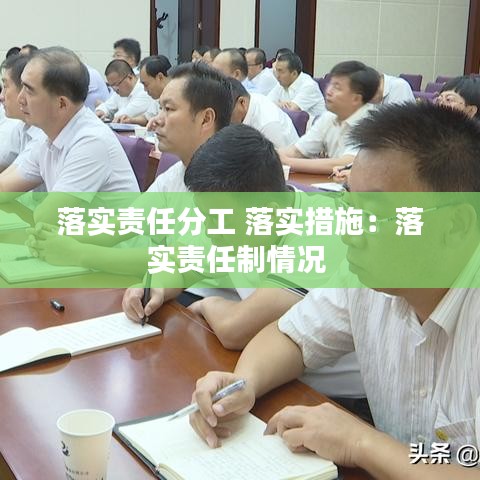 落实责任分工 落实措施：落实责任制情况 