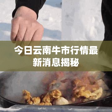 今日云南牛市行情最新消息揭秘