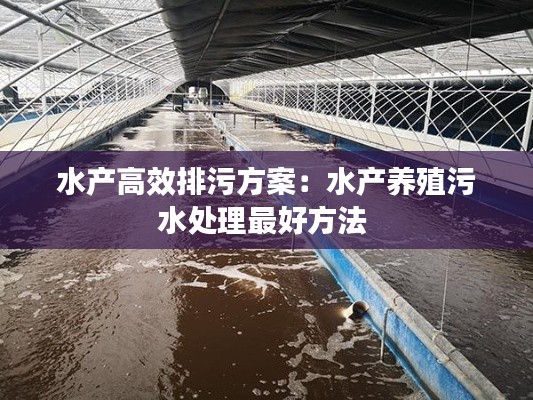 水产高效排污方案：水产养殖污水处理最好方法 