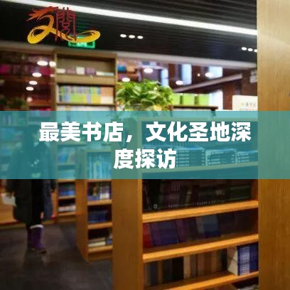 最美书店，文化圣地深度探访