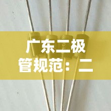 广东二极管规范：二极管工厂 