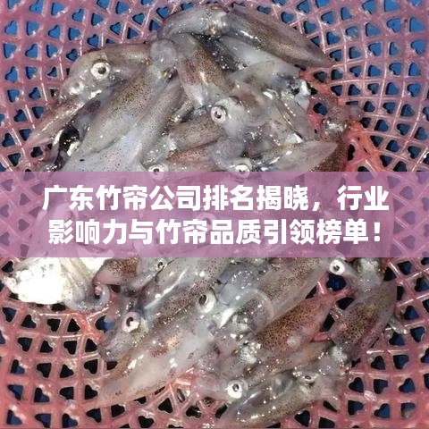 广东竹帘公司排名揭晓，行业影响力与竹帘品质引领榜单！