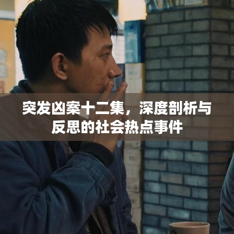 突发凶案十二集，深度剖析与反思的社会热点事件