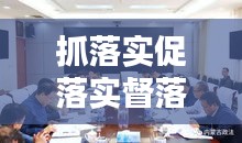 抓落实促落实督落实：协调督促抓好落实 