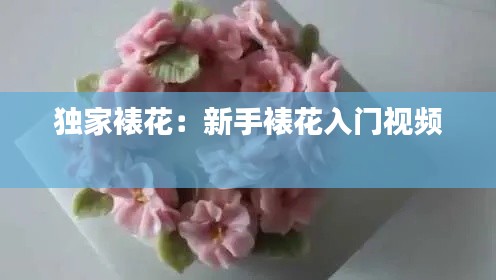 独家裱花：新手裱花入门视频 