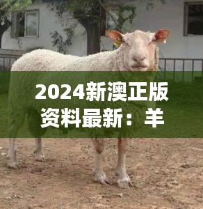 2024新澳正版资料最新：羊、牛、狗、蛇，免费资料