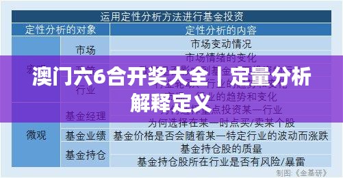 澳门六6合开奖大全｜定量分析解释定义