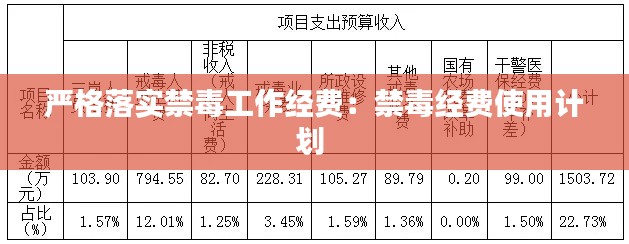 严格落实禁毒工作经费：禁毒经费使用计划 