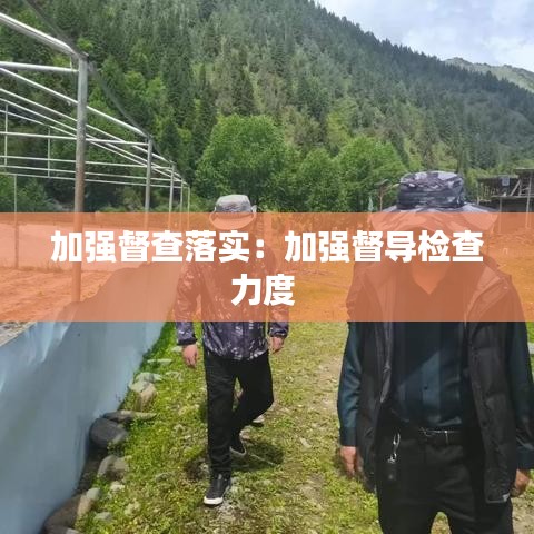 加强督查落实：加强督导检查力度 