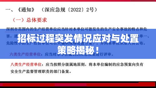 招标过程突发情况应对与处置策略揭秘！