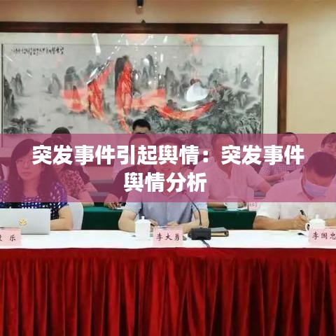 突发事件引起舆情：突发事件舆情分析 