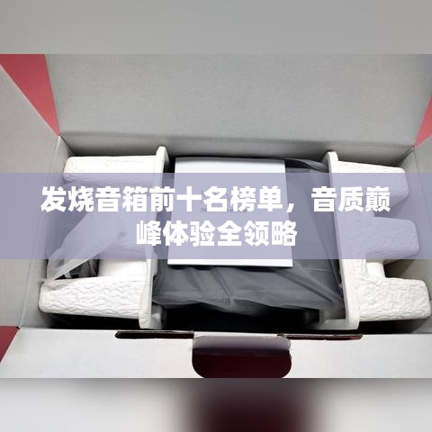 发烧音箱前十名榜单，音质巅峰体验全领略