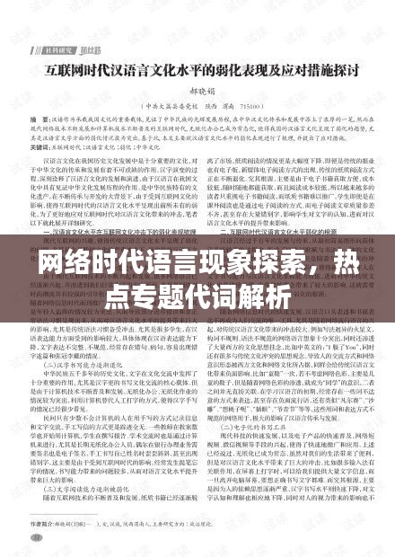 网络时代语言现象探索，热点专题代词解析