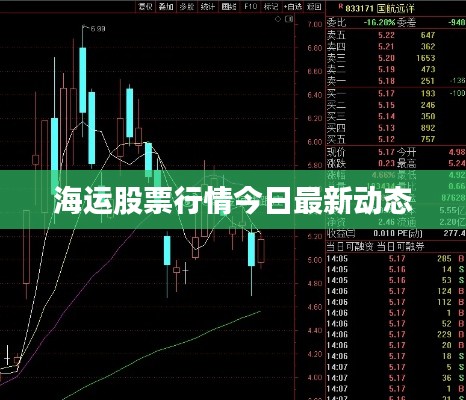 海运股票行情今日最新动态