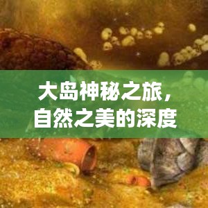 大岛神秘之旅，自然之美的深度探索攻略视频