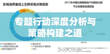 专题行动深度分析与策略构建之道