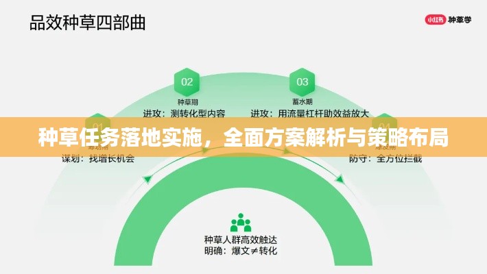 种草任务落地实施，全面方案解析与策略布局