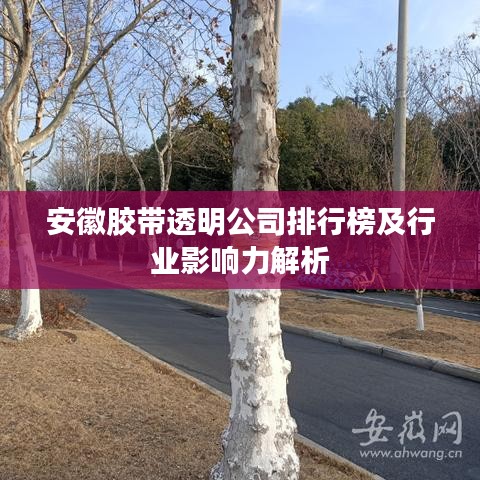 安徽胶带透明公司排行榜及行业影响力解析