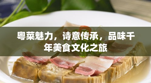 粤菜魅力，诗意传承，品味千年美食文化之旅