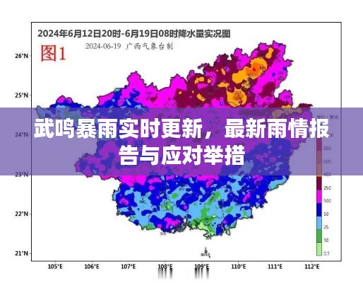 武鸣暴雨实时更新，最新雨情报告与应对举措